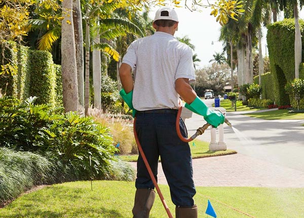 About Marylhurst OR Pest Control Pros